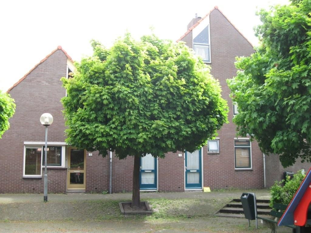 Adolf van Westerwijksplein 15, 4461 ZZ Goes, Nederland
