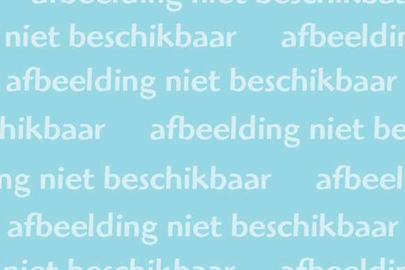 Dorpsweg 66