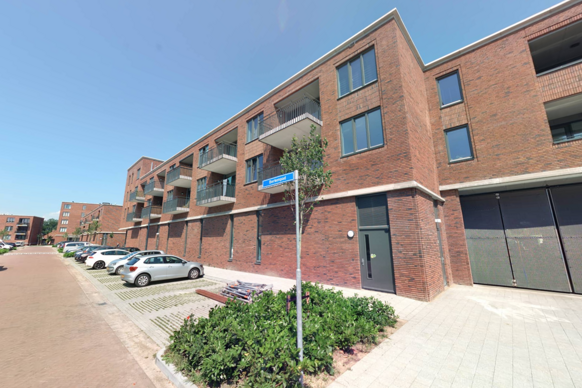 Berkenpad 91