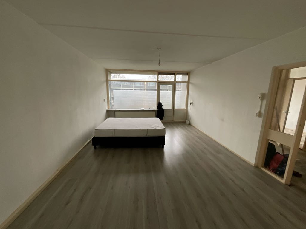 Driewegenhof 217