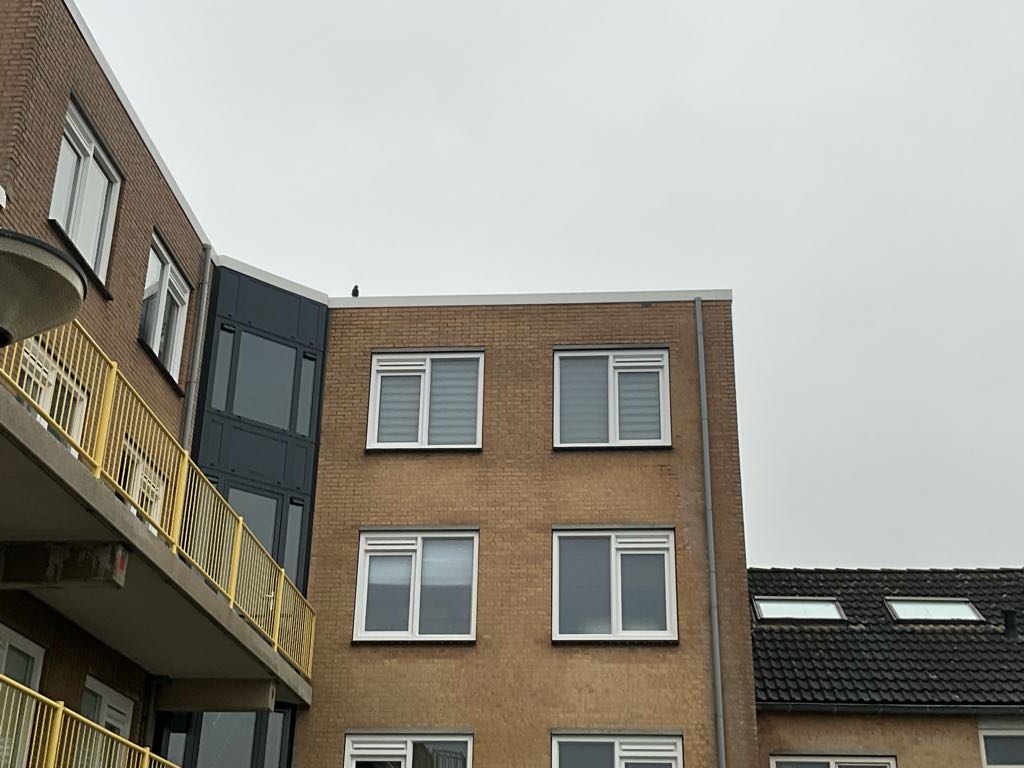 Gerrit Rietveldstraat 39