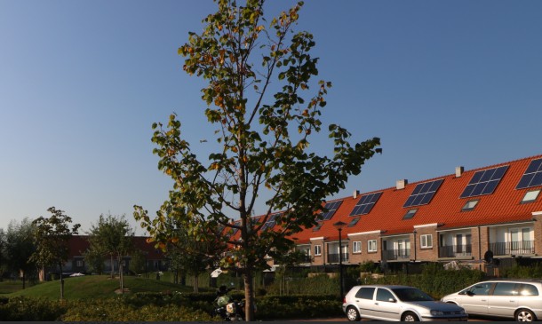 Nieuw Bonedijkelaan 10