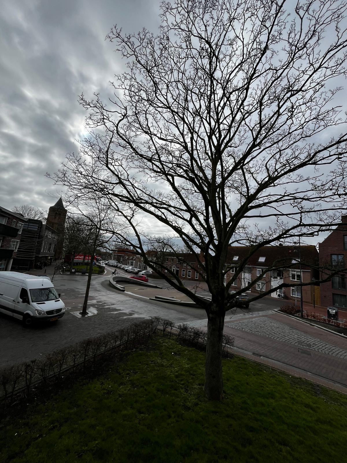 Oranjeplein 188