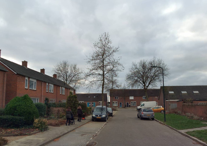 Albert Schweitzerstraat 49