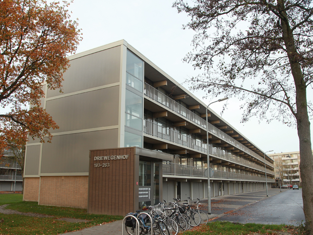 Driewegenhof 215