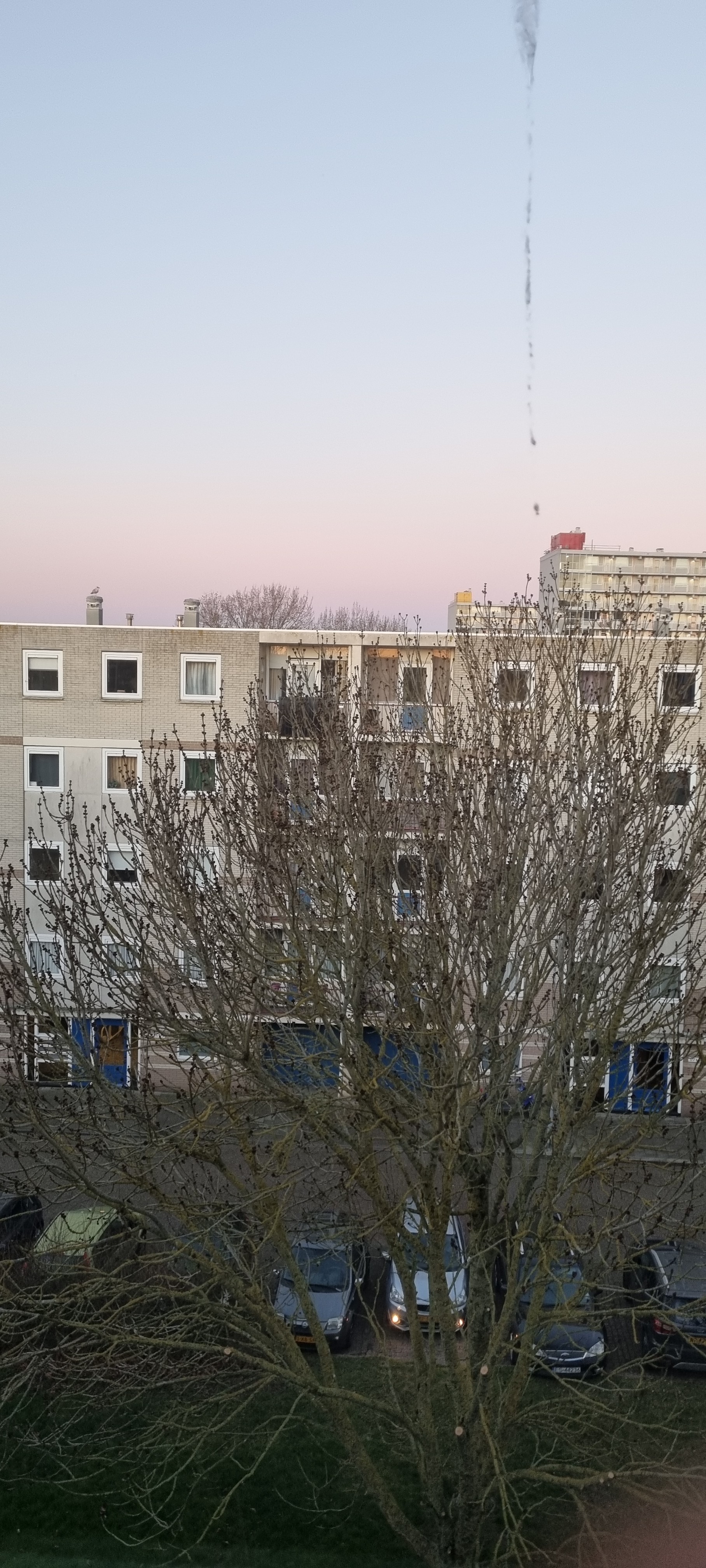 Lieftinckstraat 95