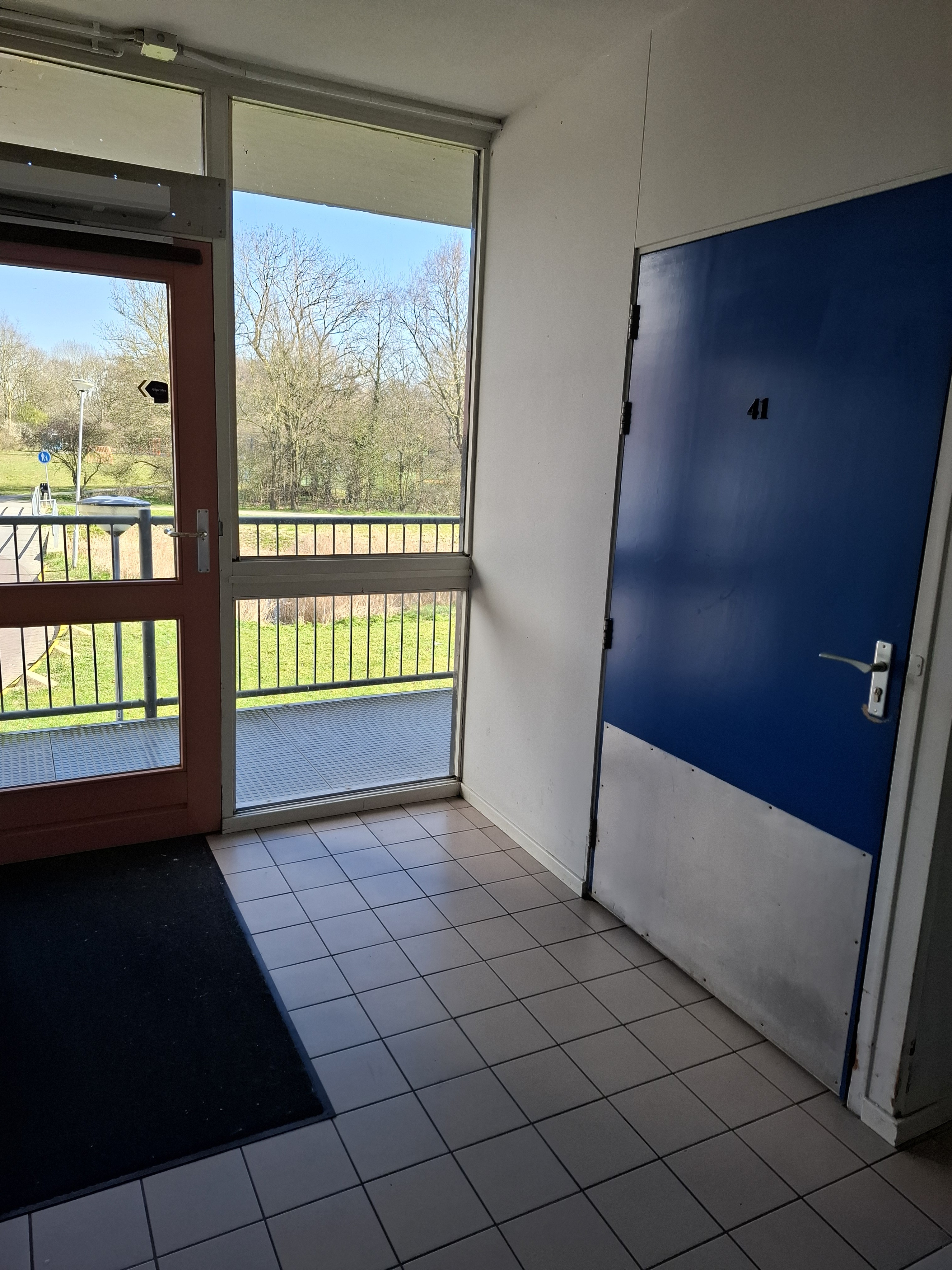 Johan Adriaen van de Perrestraat 41