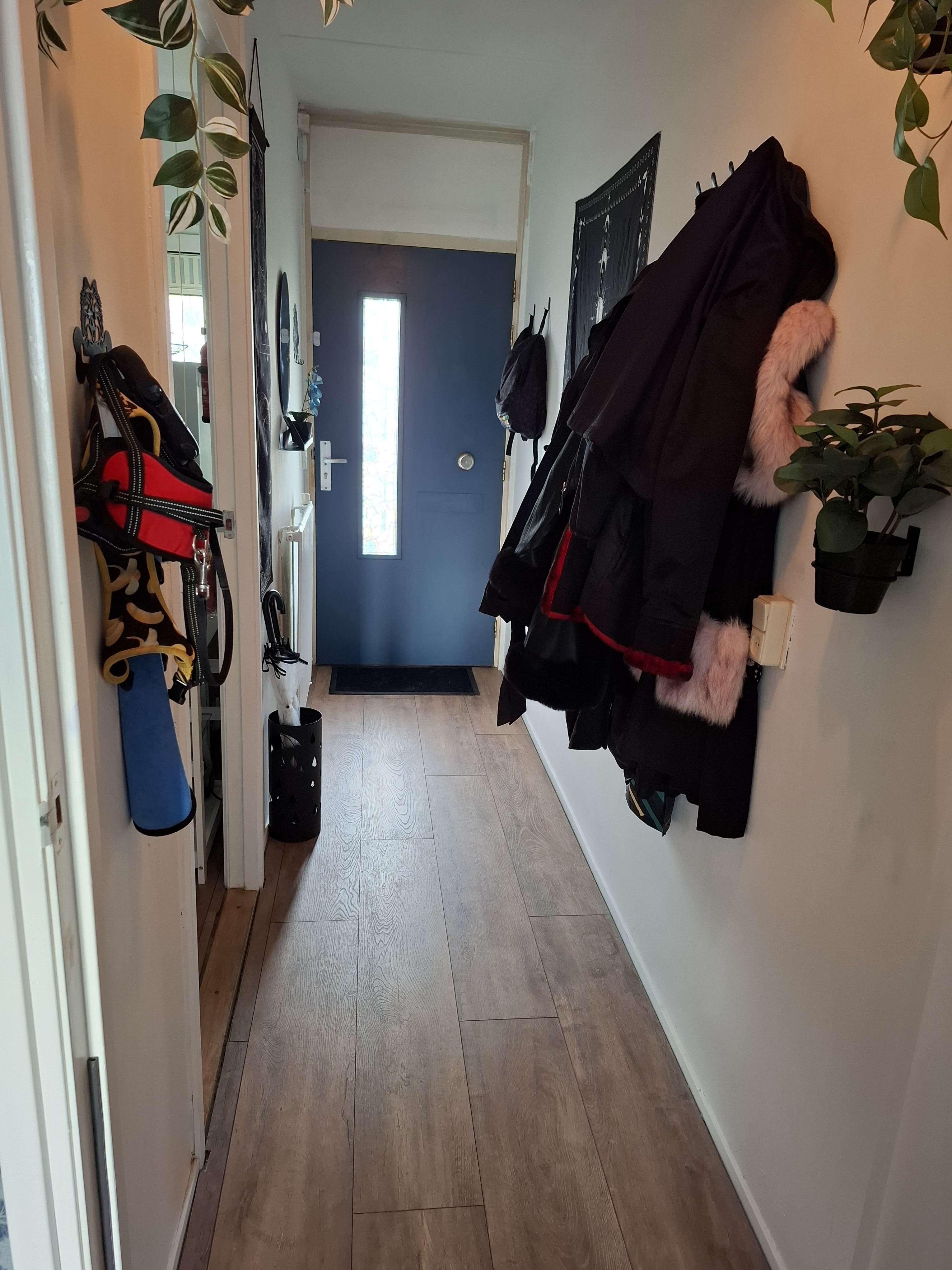 Johan Adriaen van de Perrestraat 41