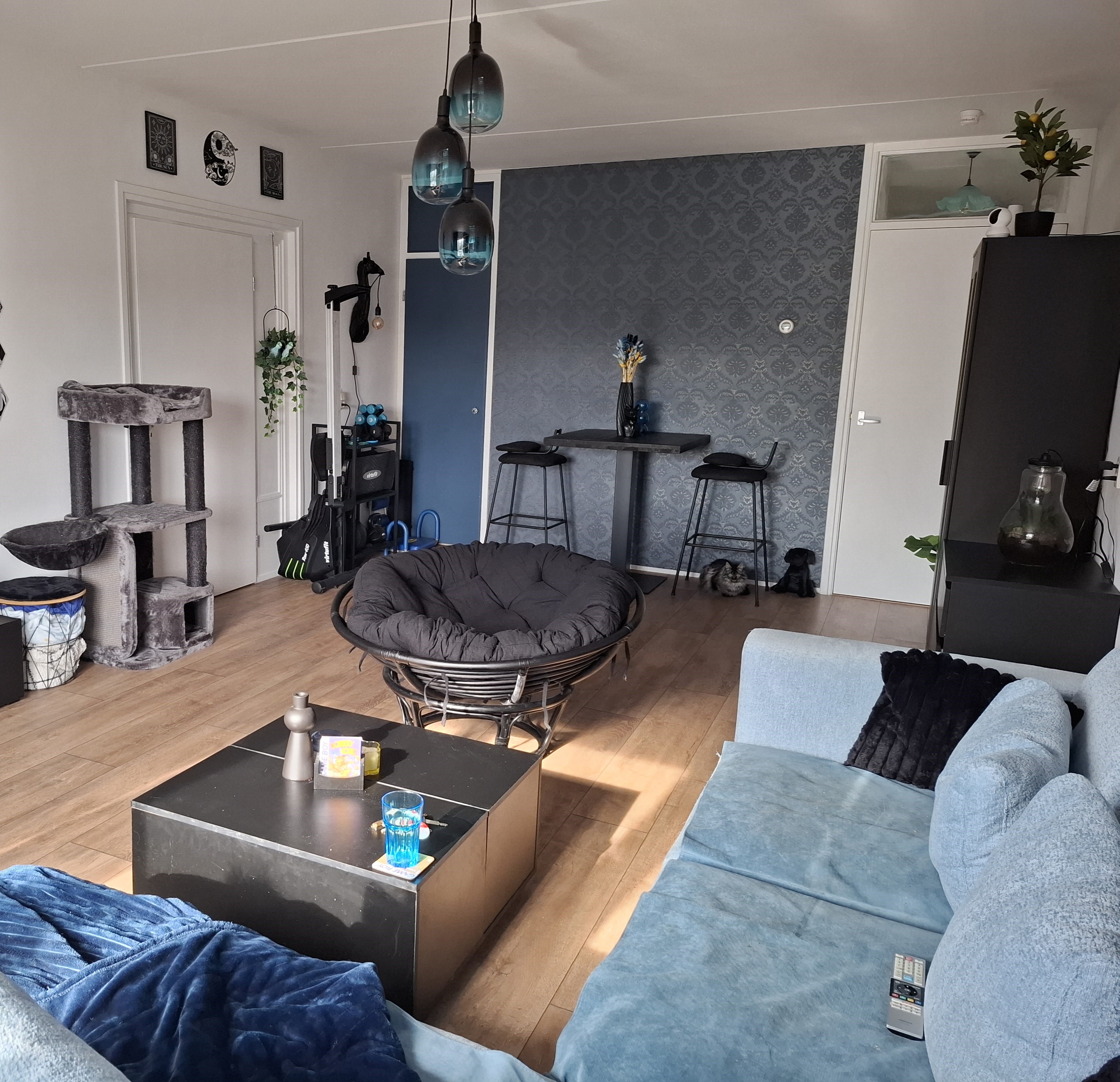 Johan Adriaen van de Perrestraat 41