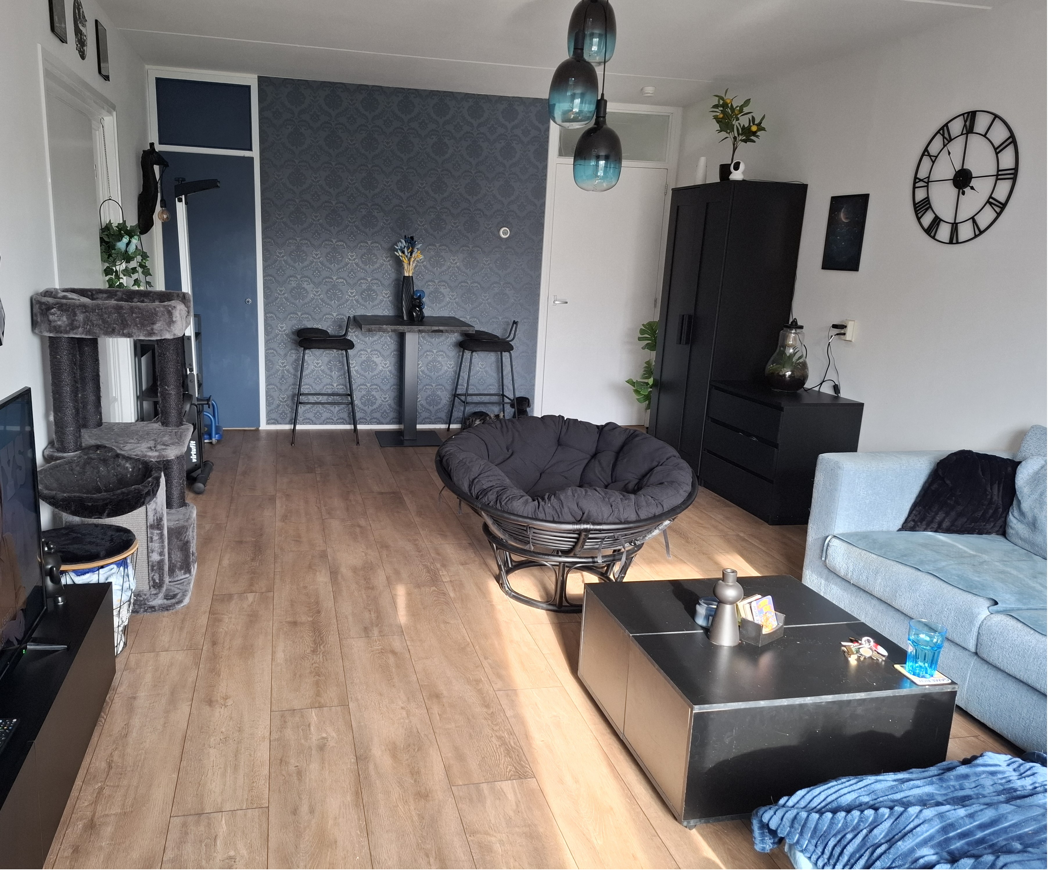 Johan Adriaen van de Perrestraat 41