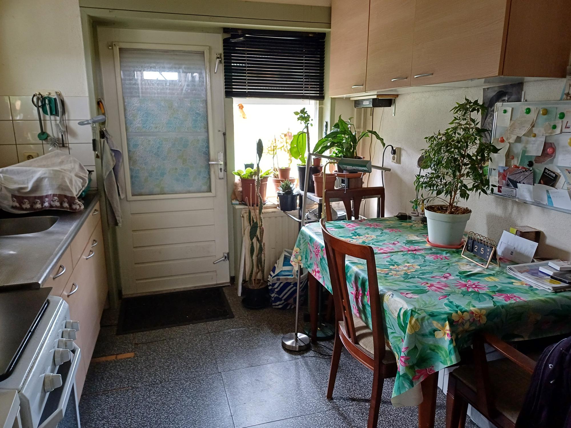 Kamperfoeliestraat 117