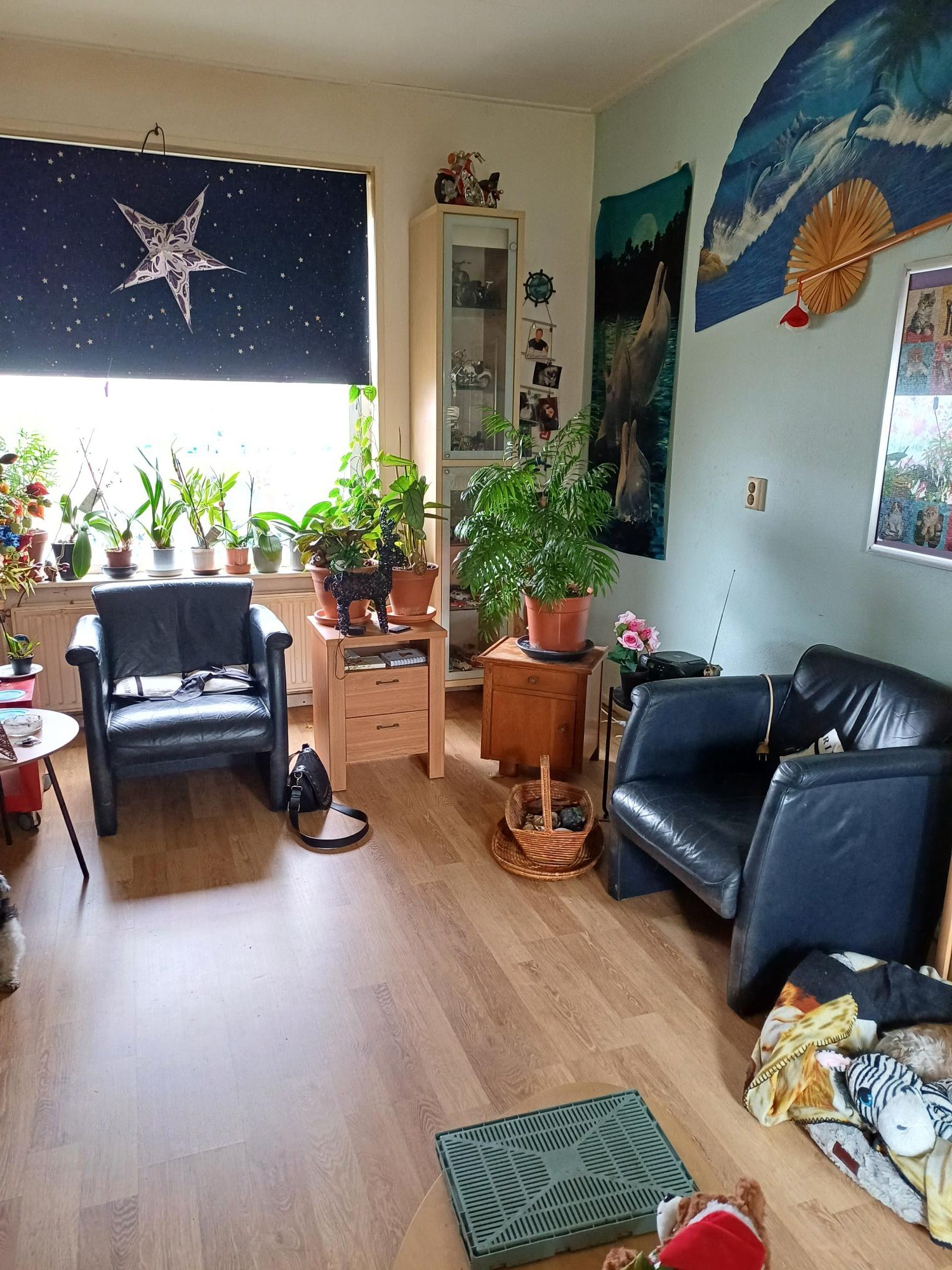 Kamperfoeliestraat 117