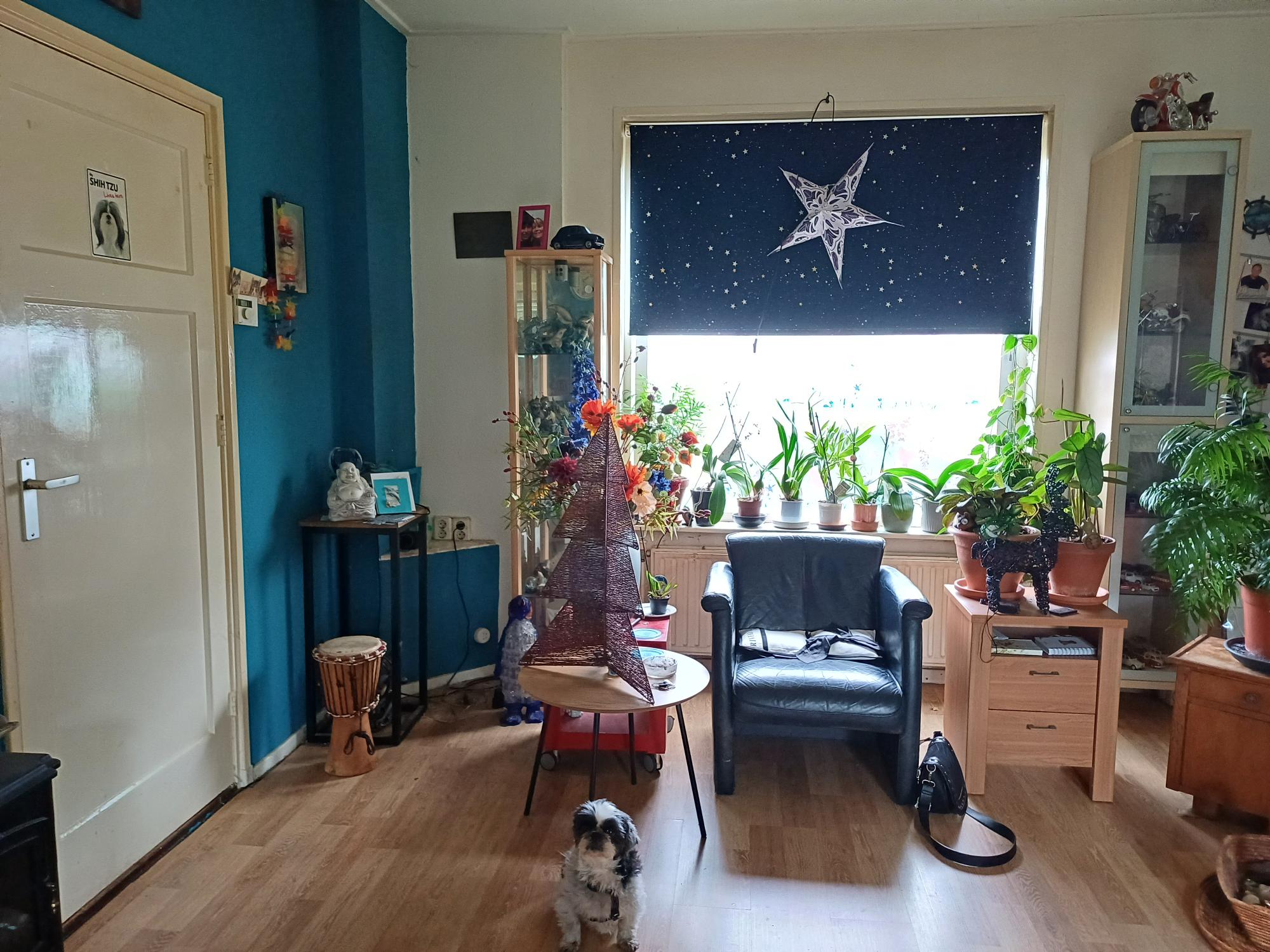 Kamperfoeliestraat 117