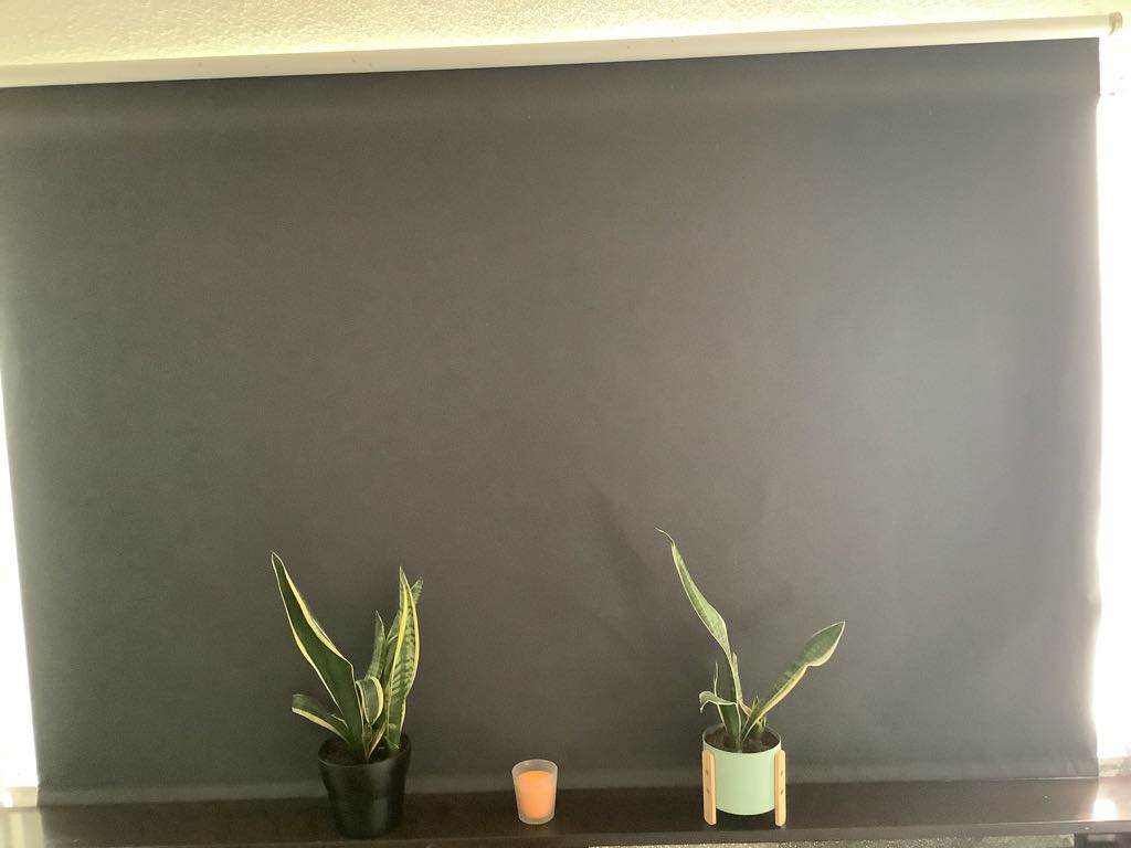 Van Borselelaan 18-B