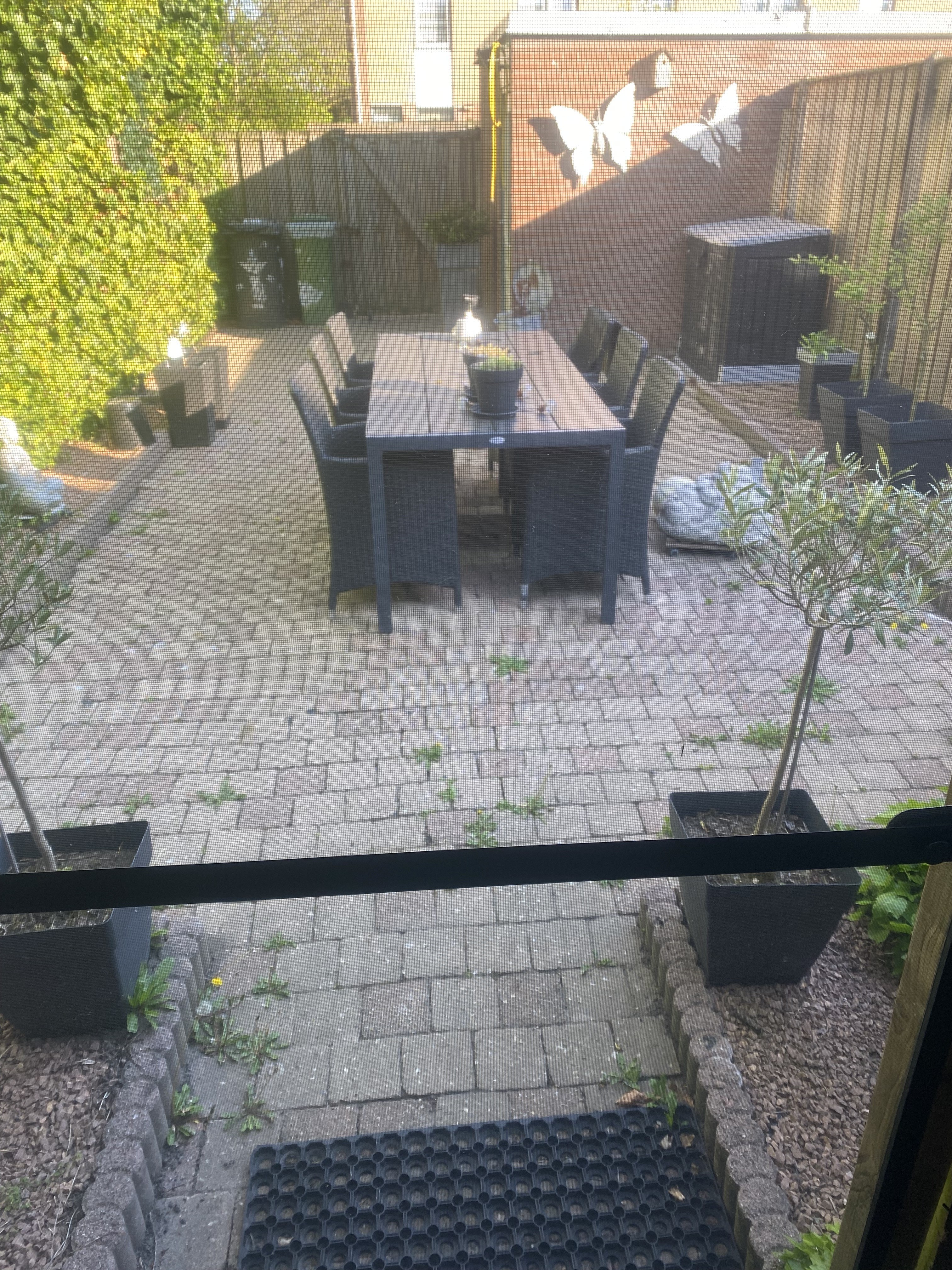 Johan Guiliëlmus Schorerstraat 23