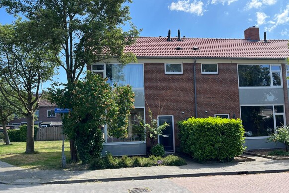 Moggestraat 50