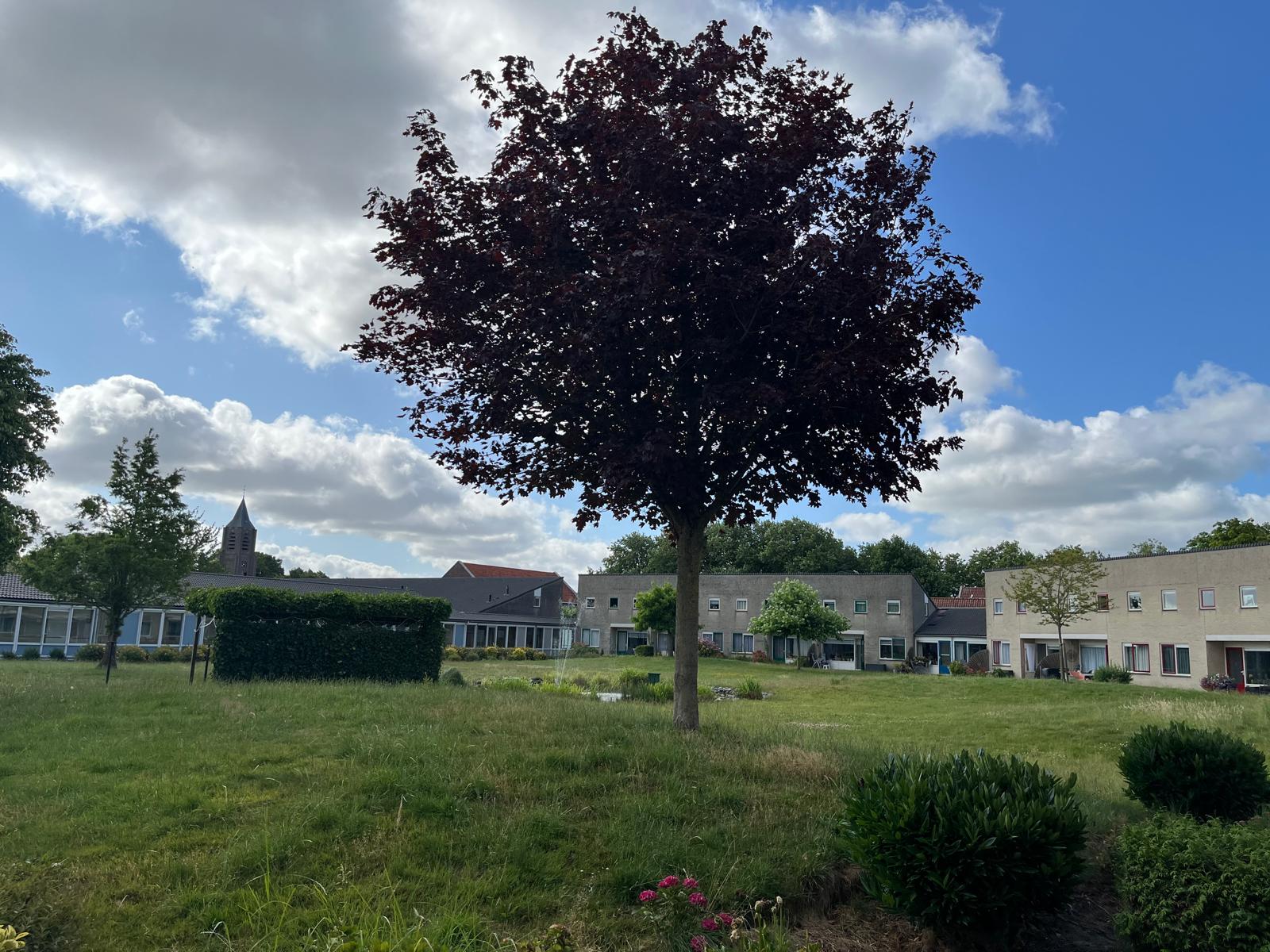 Burgemeester van Eetenstraat 92, 4306 CW Nieuwerkerk, Nederland