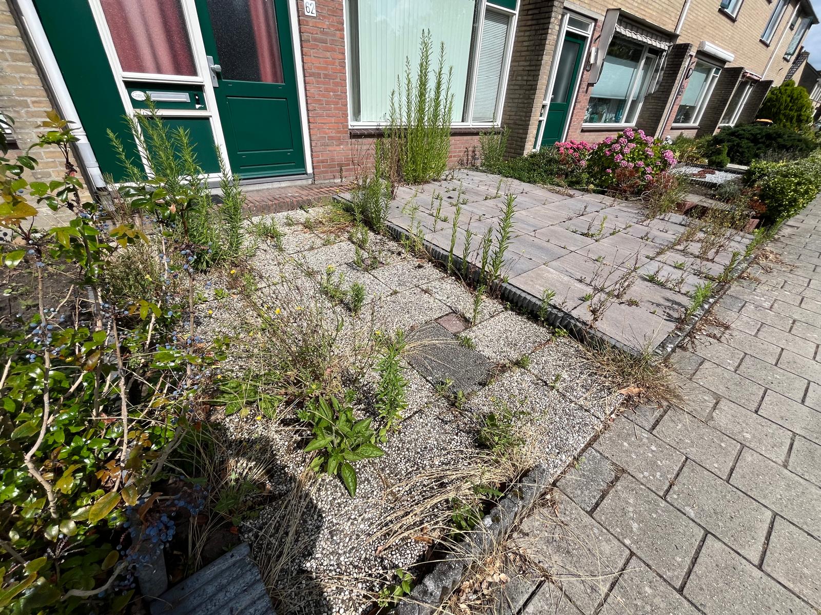 Dokter de Kockstraat 62