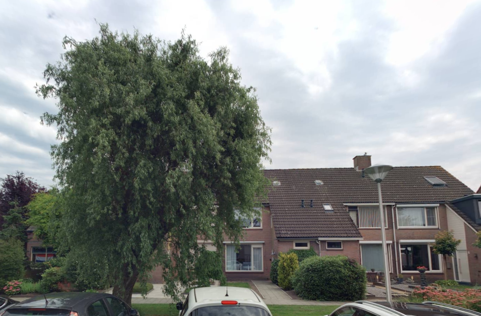 Wilgepad 5, 4651 JV Steenbergen, Nederland