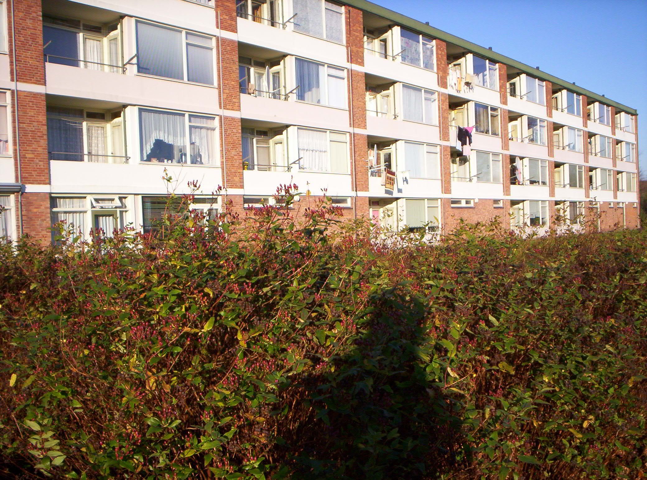 Erasmusstraat 53, 4532 EP Terneuzen, Nederland