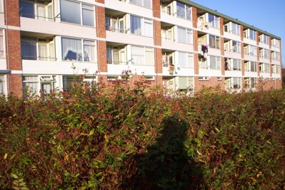 Erasmusstraat 53