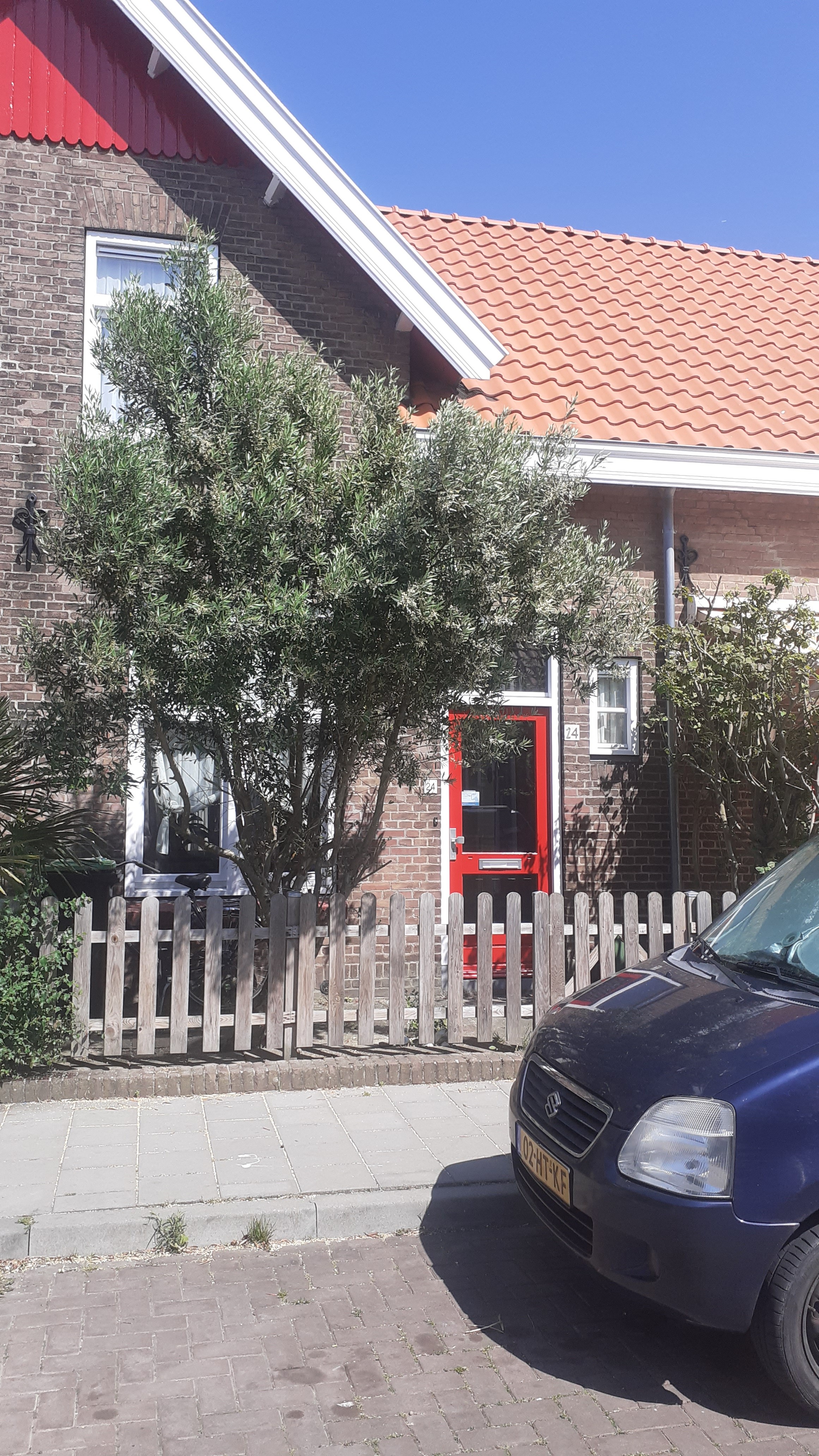 Nicolaes Honighstraat 24