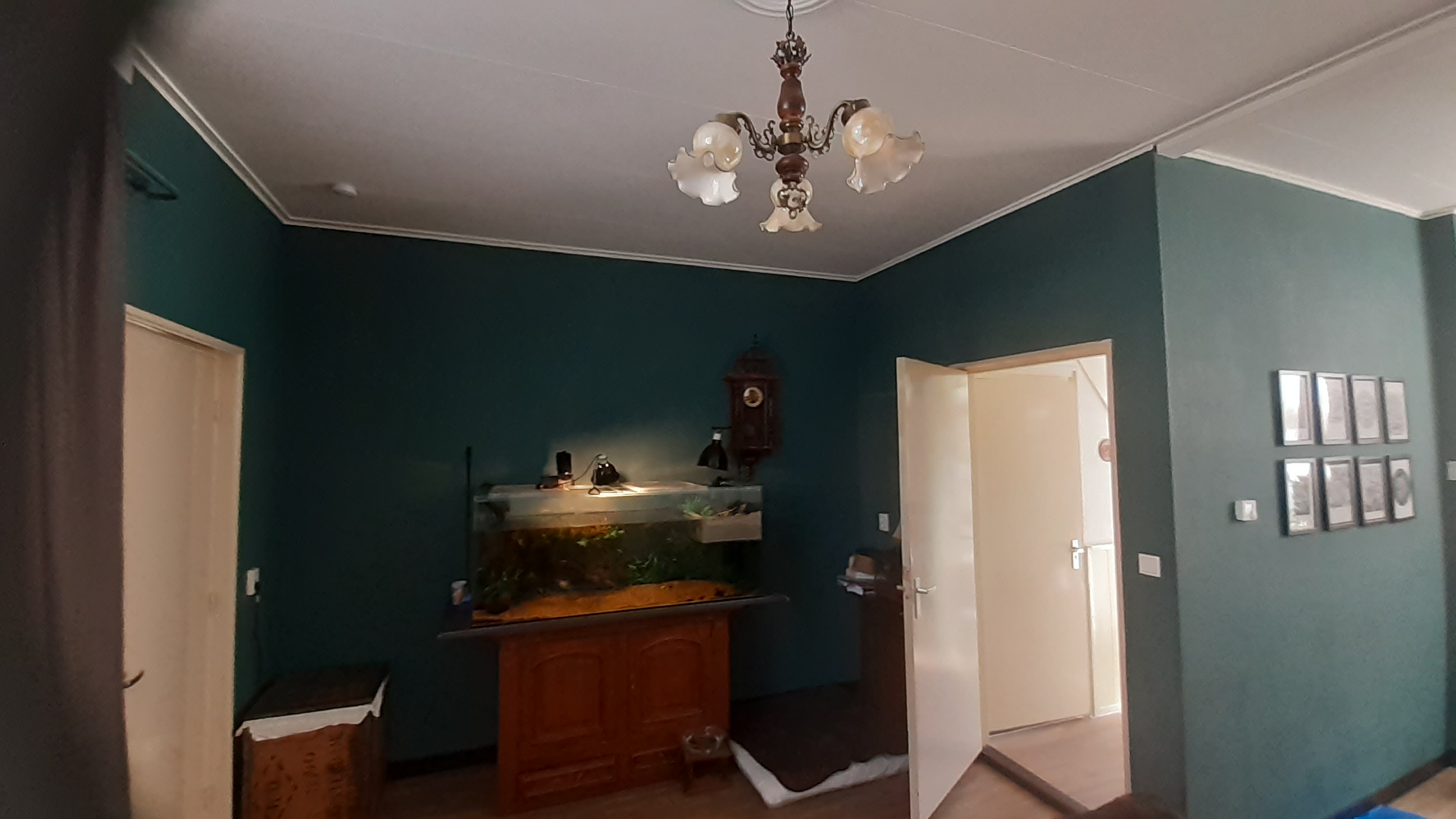 Nicolaes Honighstraat 24