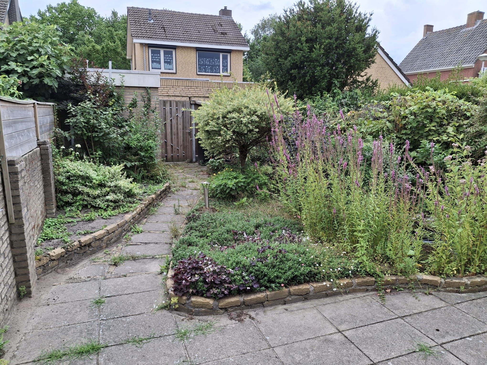 Buys Ballotstraat 40