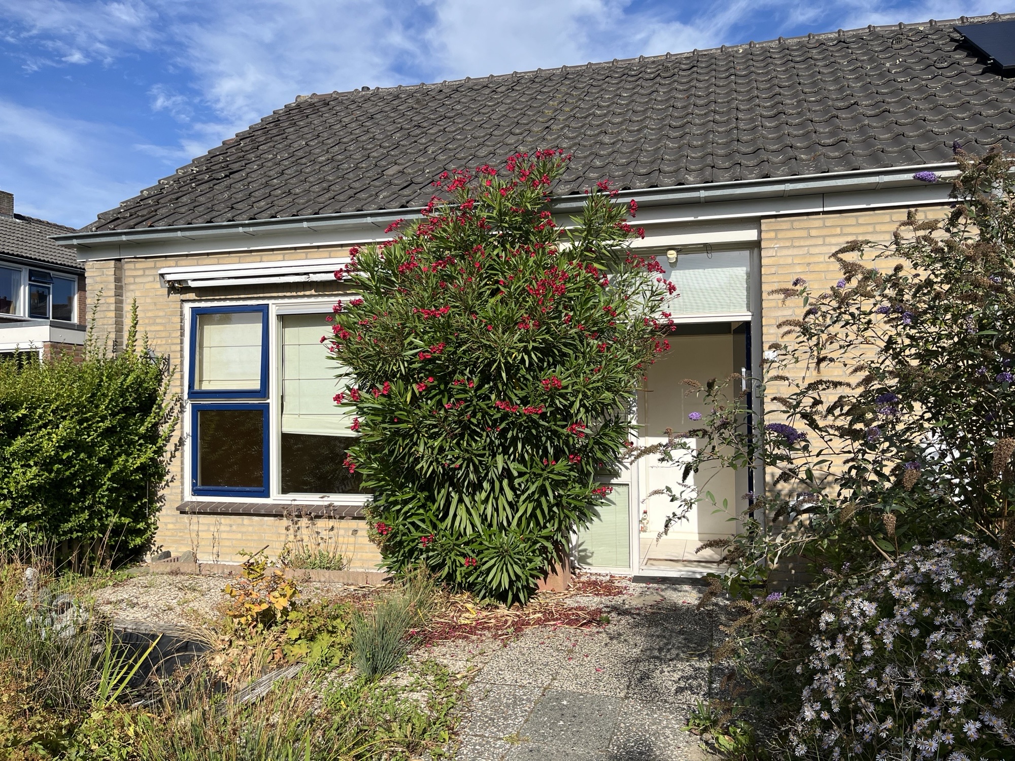 Wethouder Dekkerstraat 44, 4318 EL Brouwershaven, Nederland