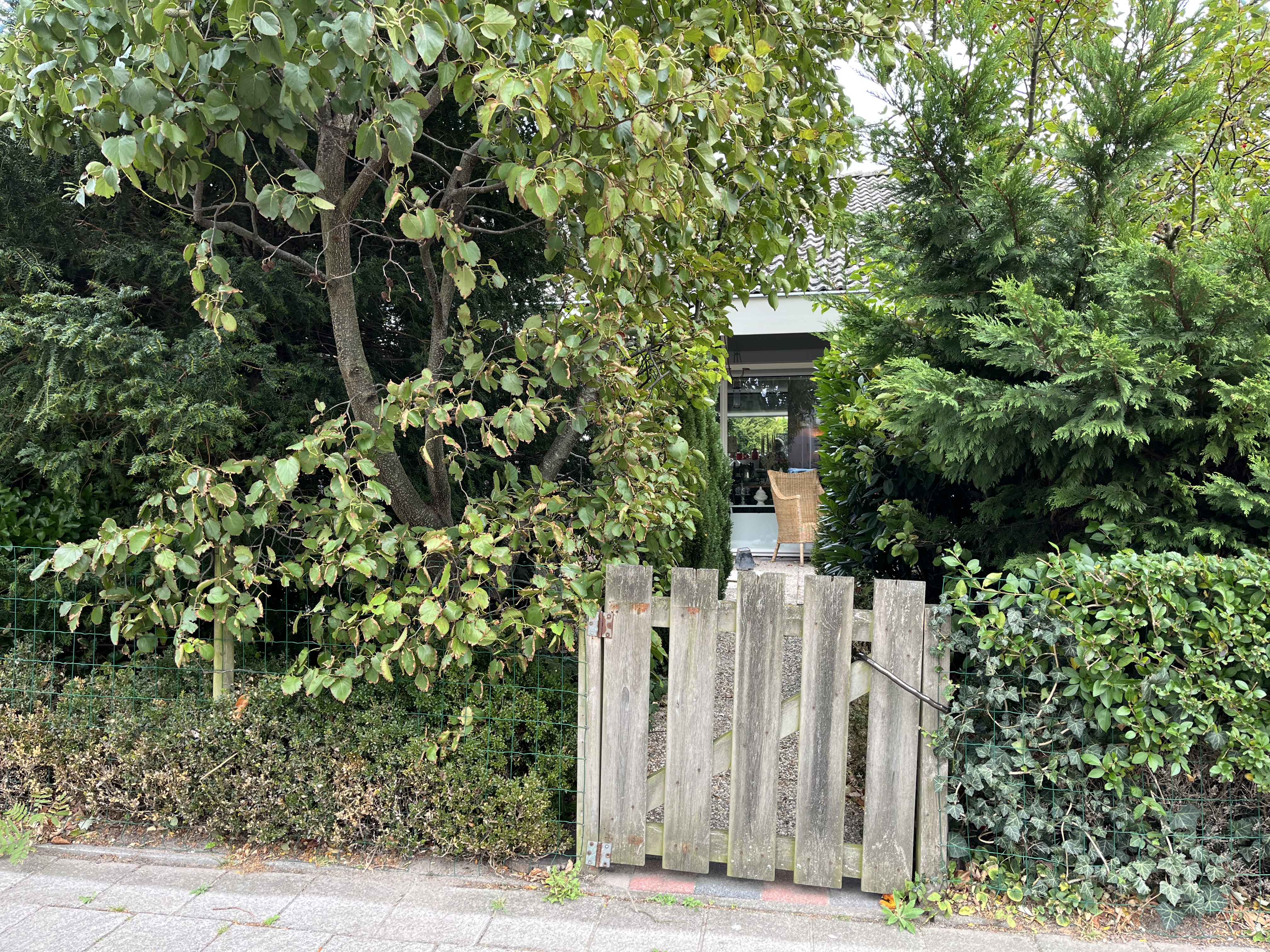 's Heer Lauwendorp 15