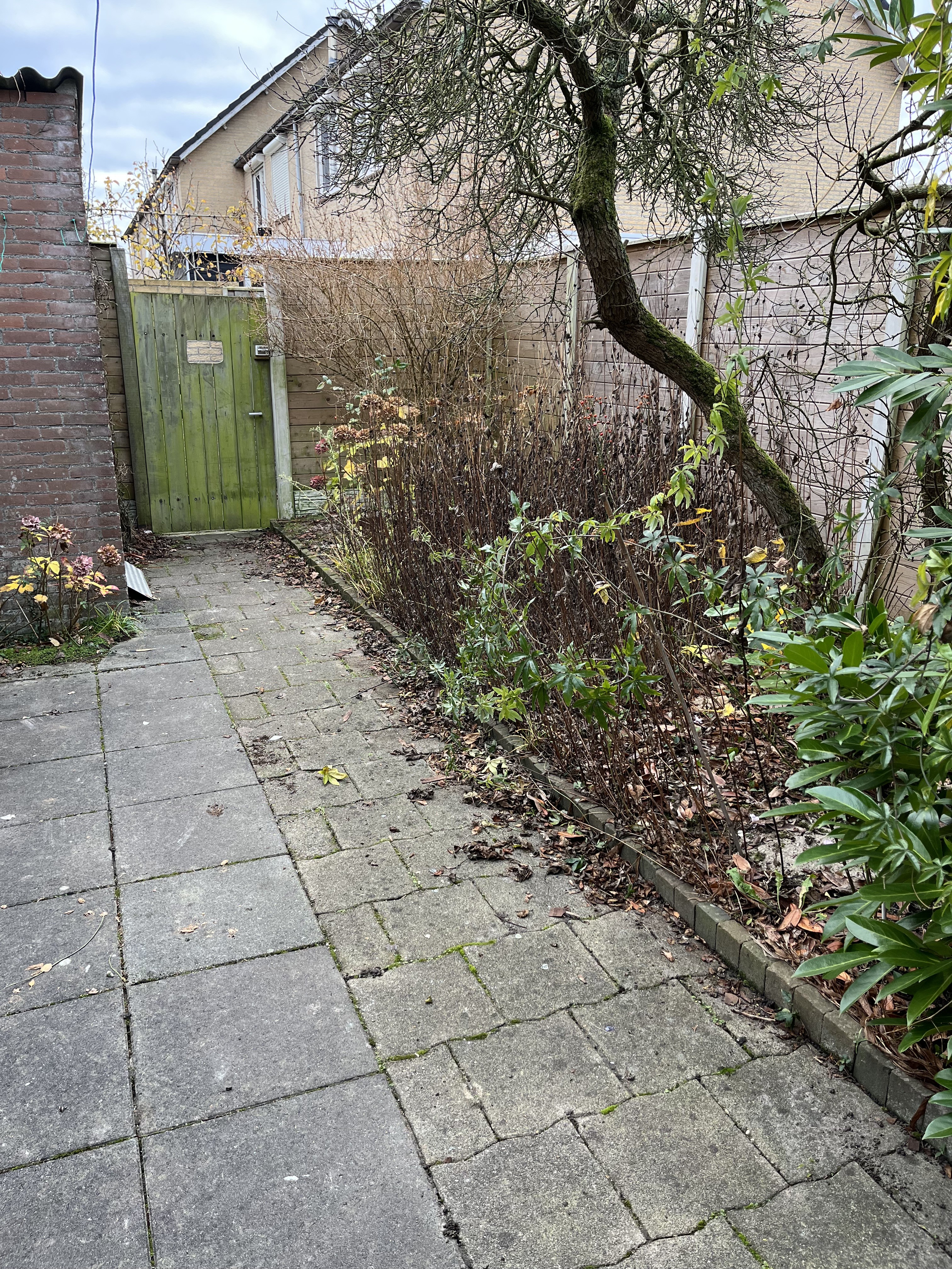 Halve Maanstraat 59