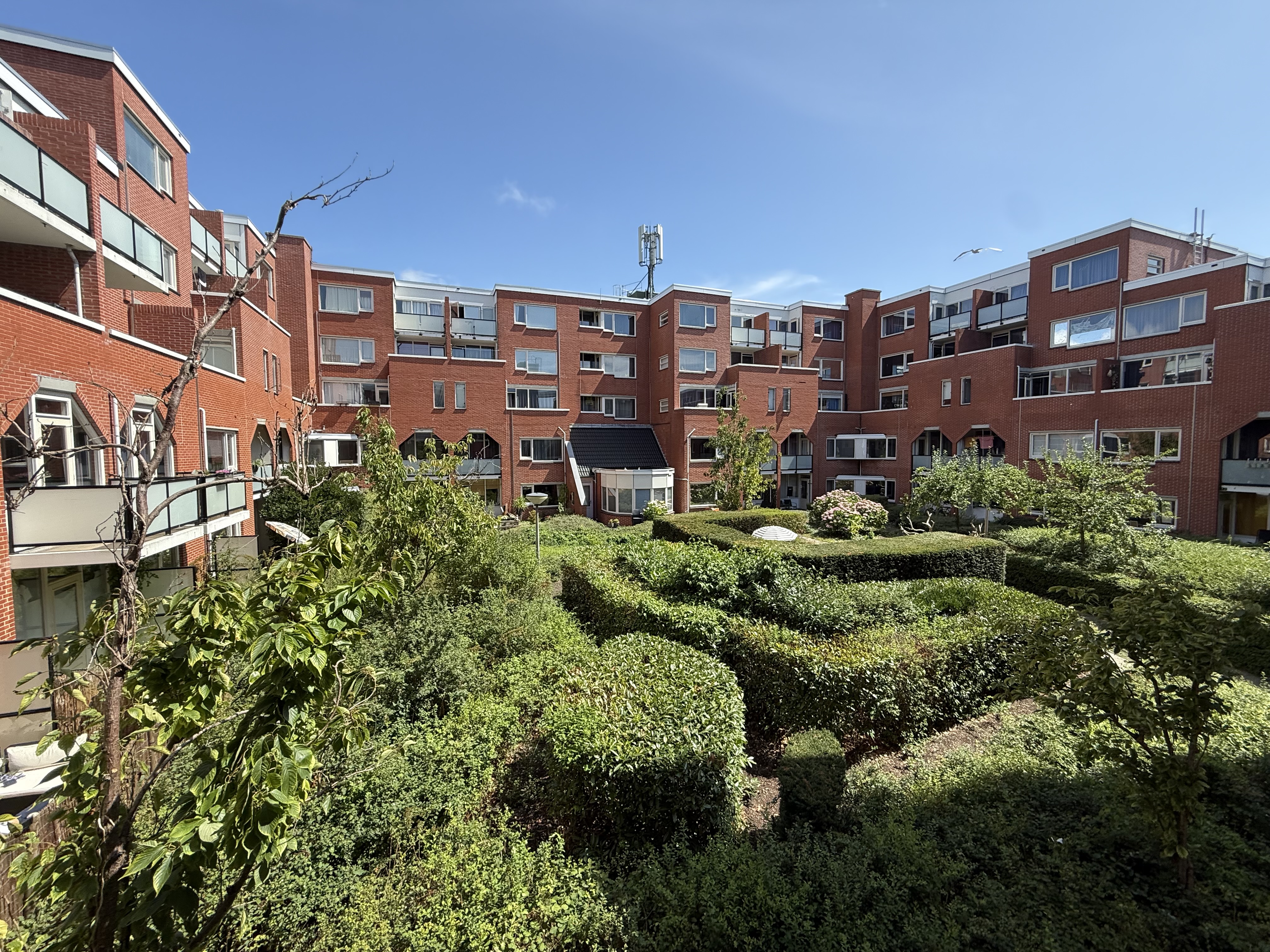 Van Dishoeckstraat 388