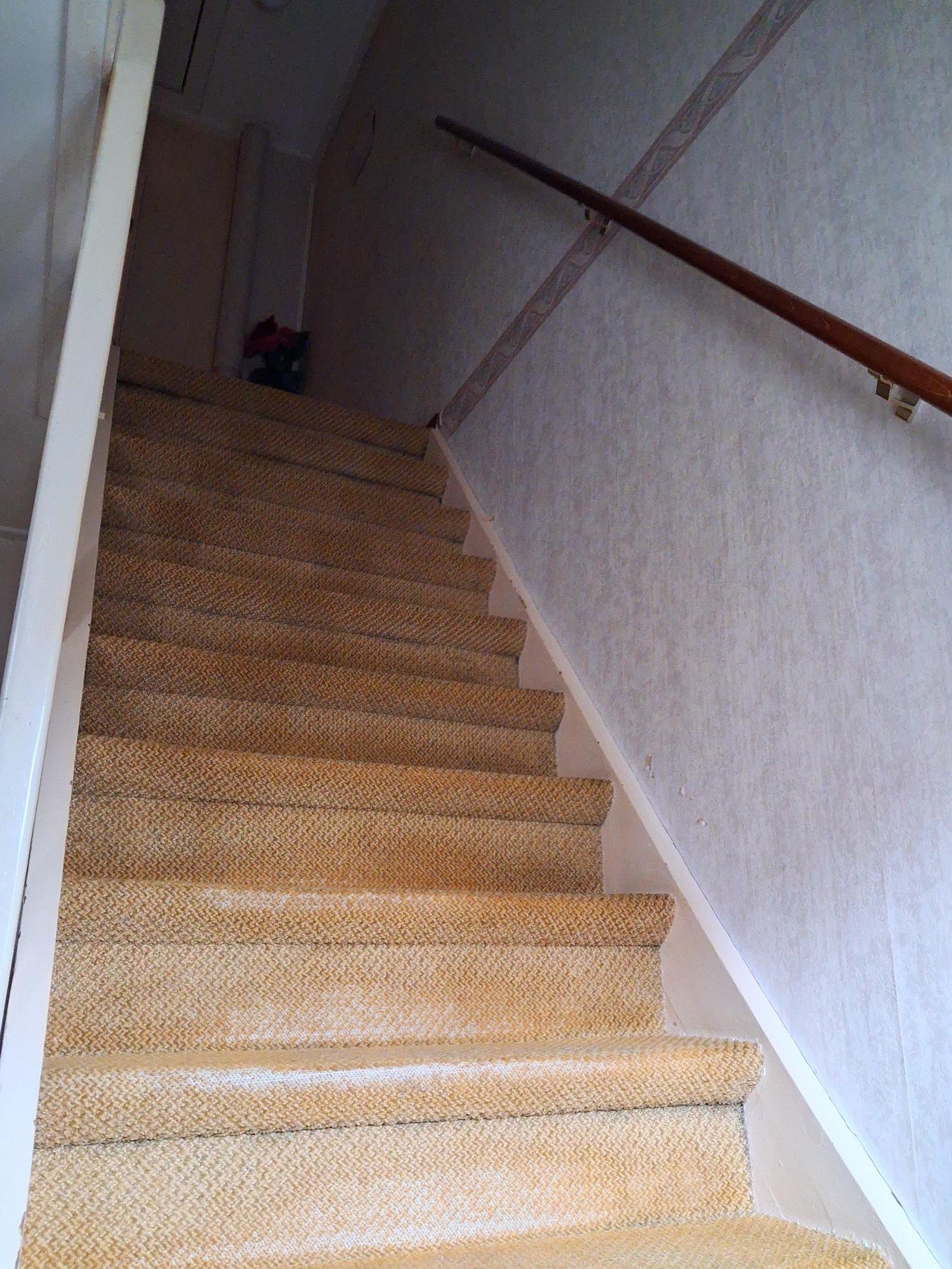 Van der Swalmestraat 8