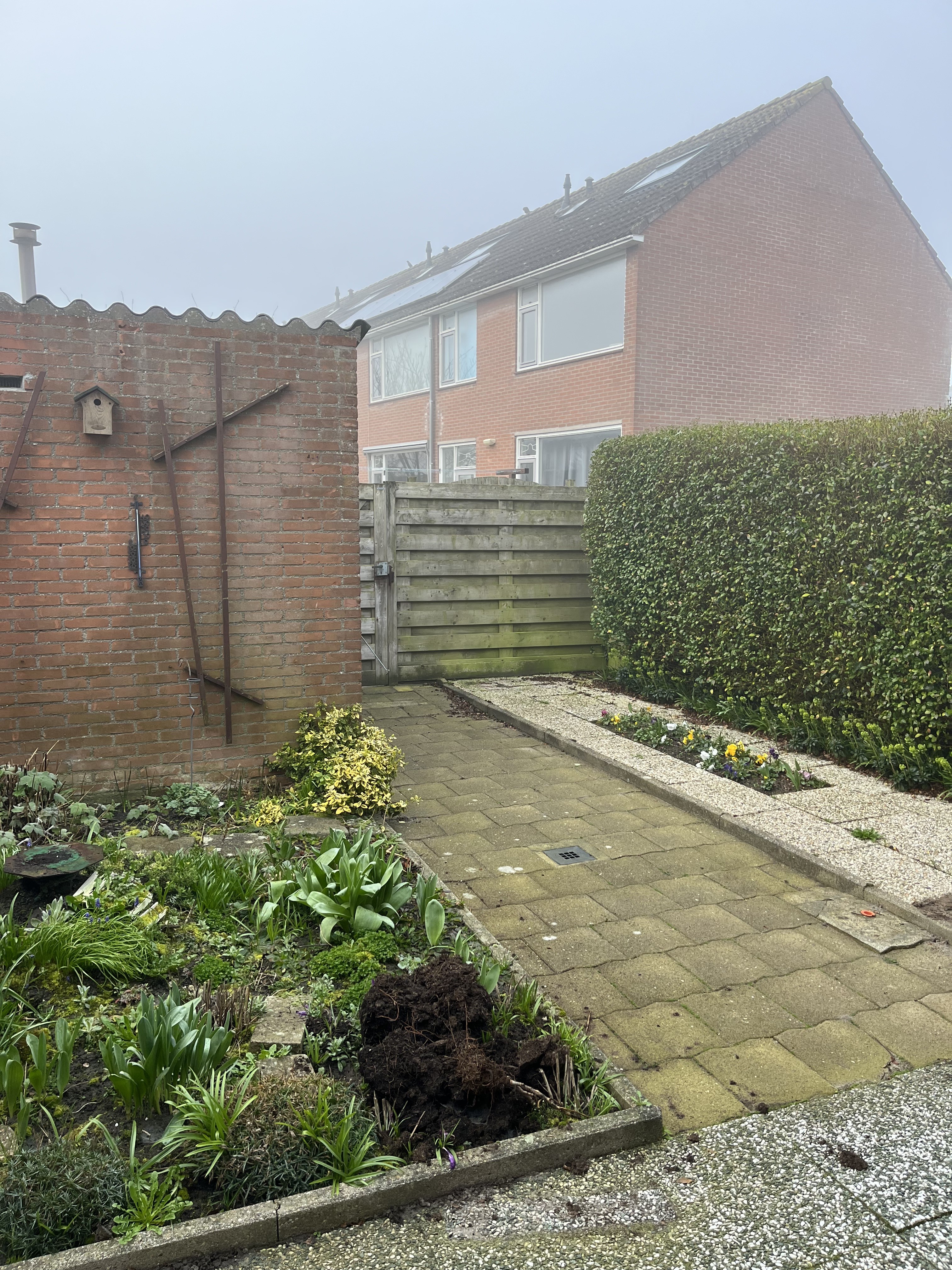 Reigershoutstraat 27