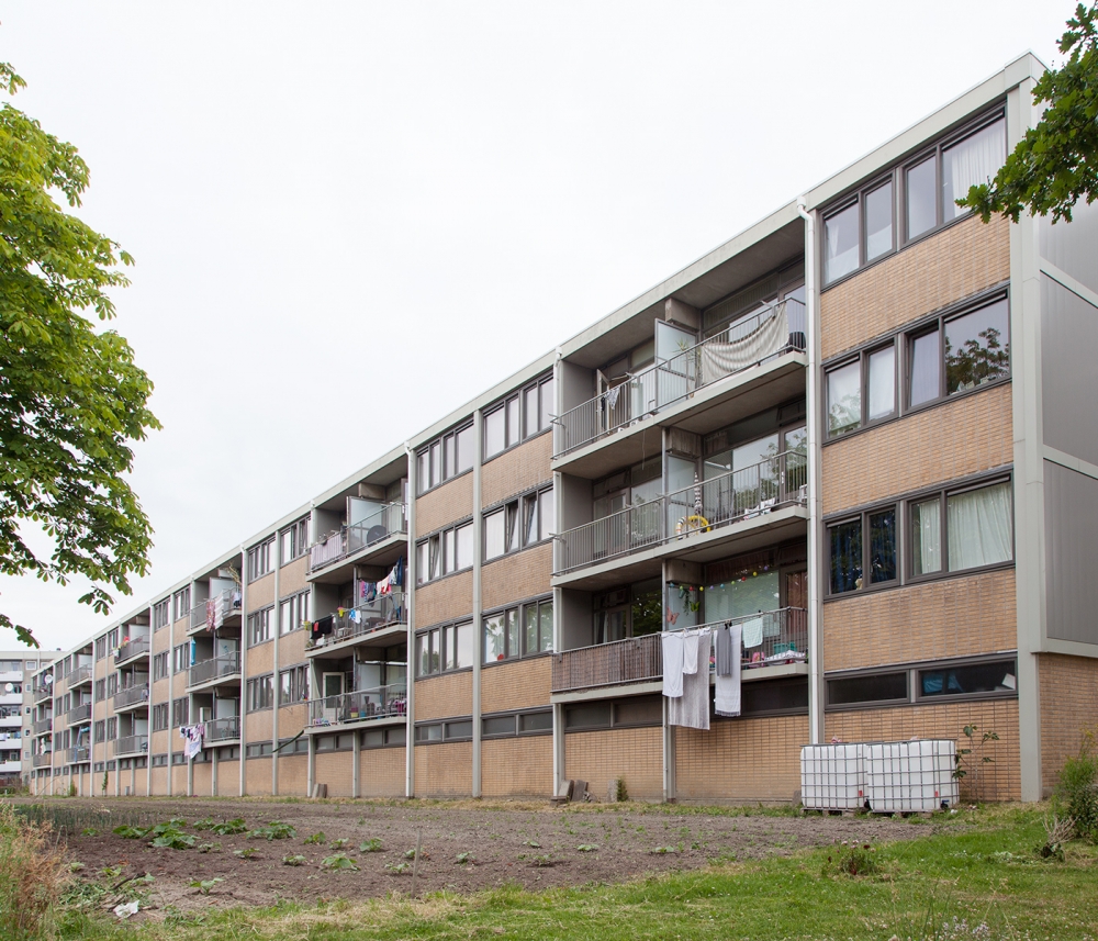 Driewegenhof 259, 4337 GG Middelburg, Nederland