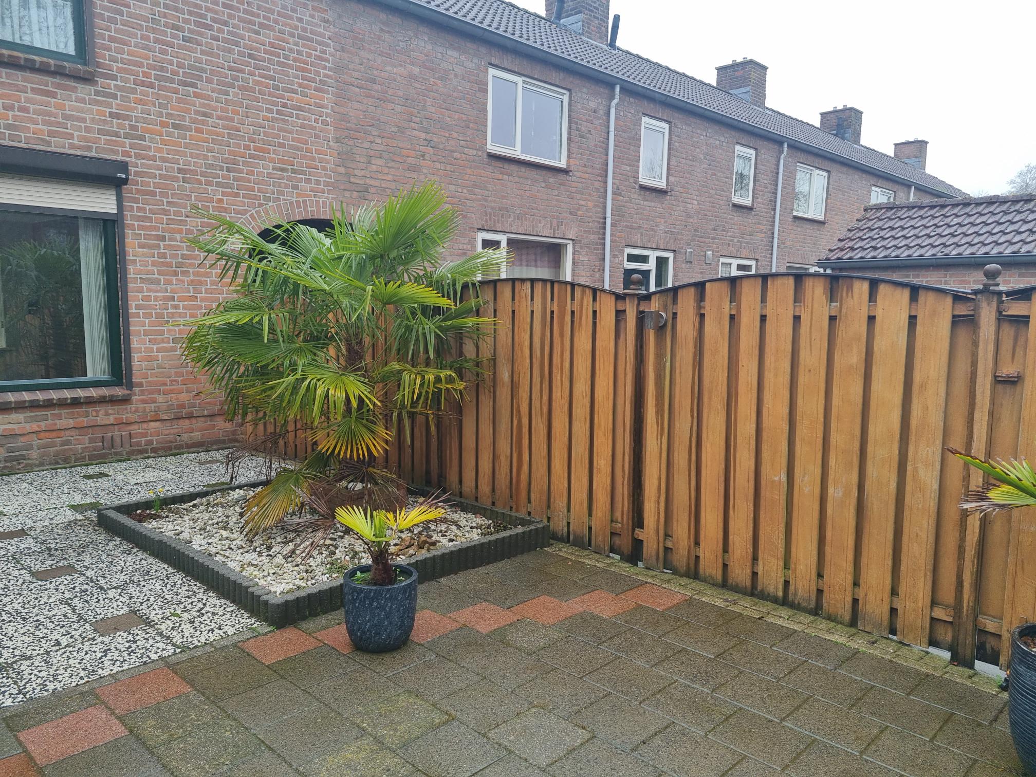 Nicolaas Peckstraat 21