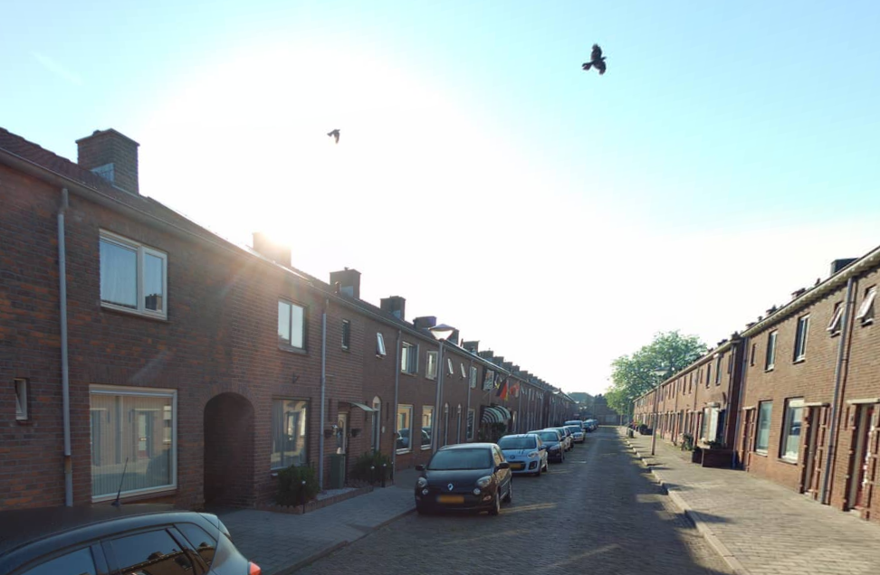 Nicolaas Peckstraat 21