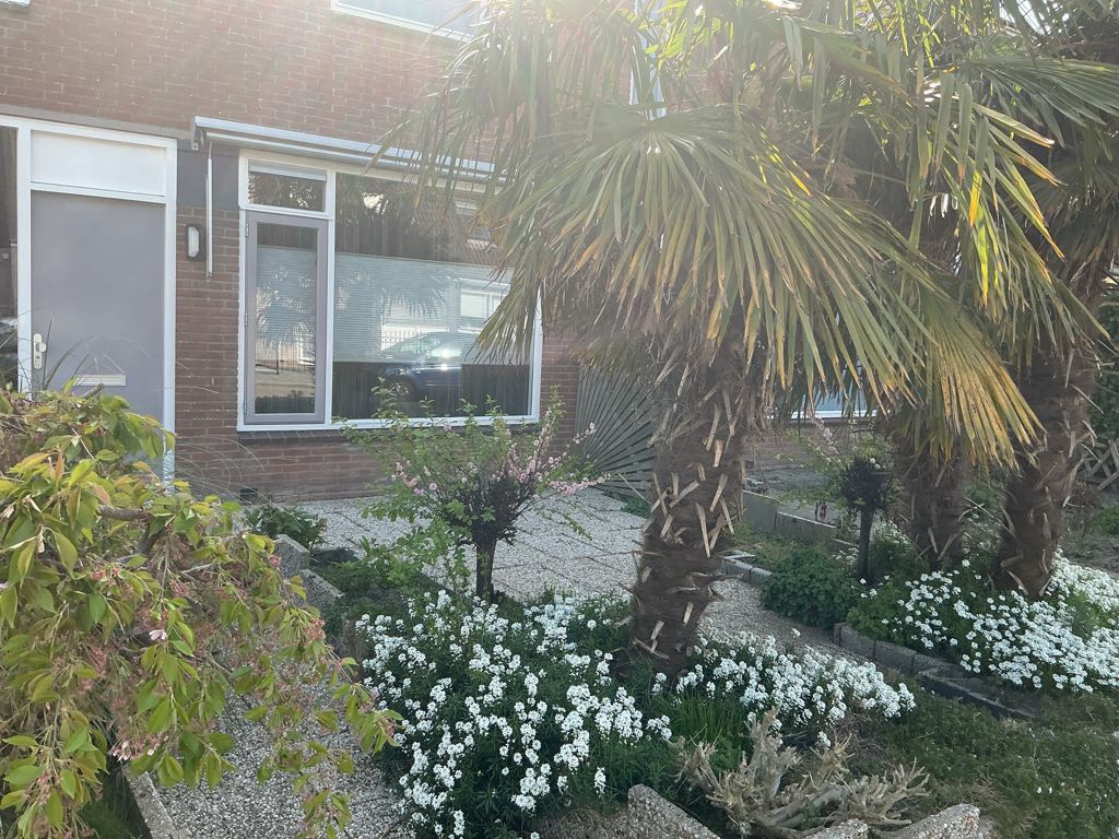 Boomgaard 4, 4371 CL Koudekerke, Nederland