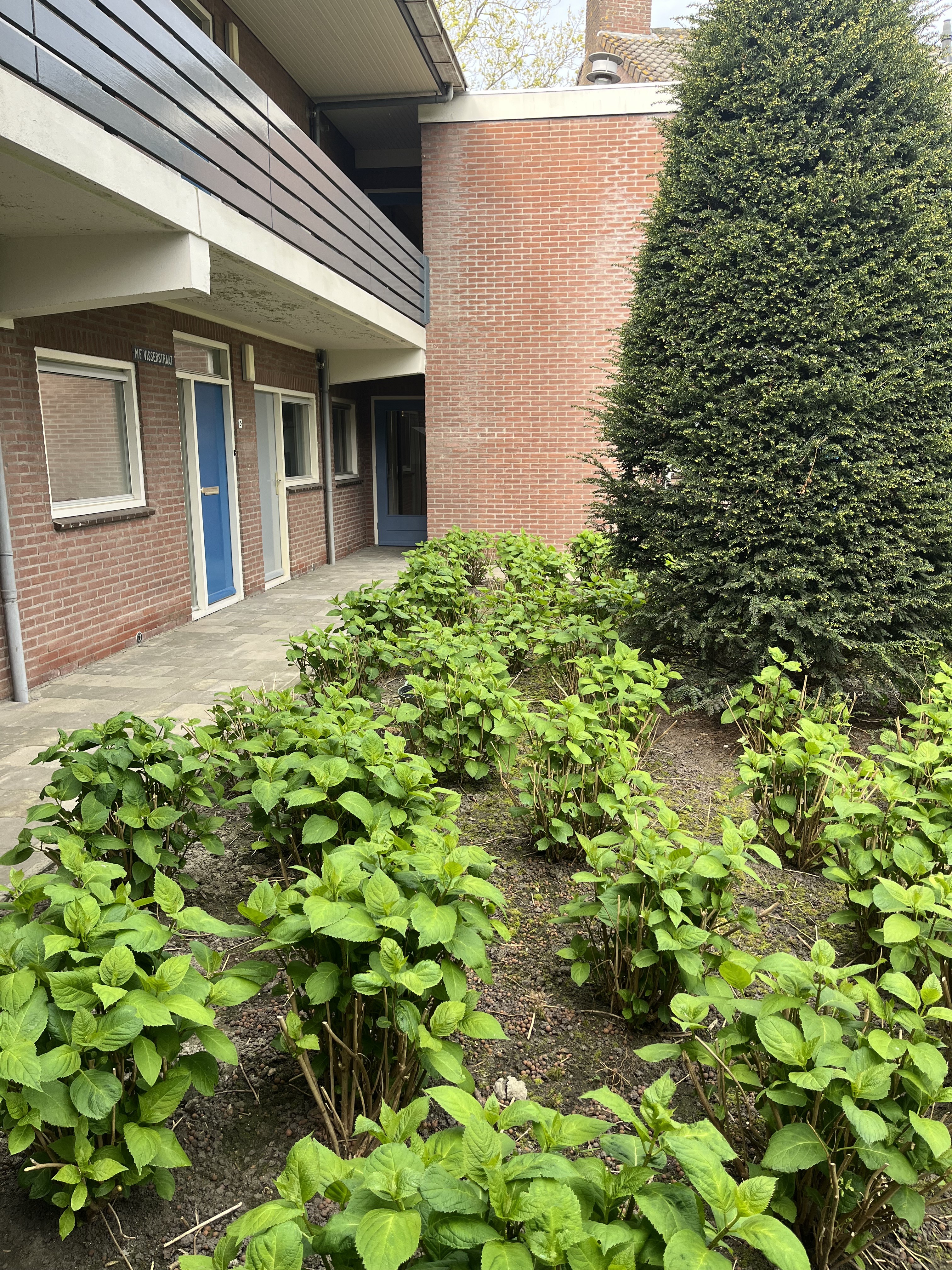 M.F. Visserstraat 5