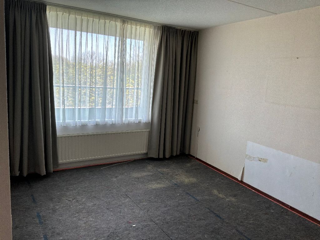 Adriaen Coortestraat 44