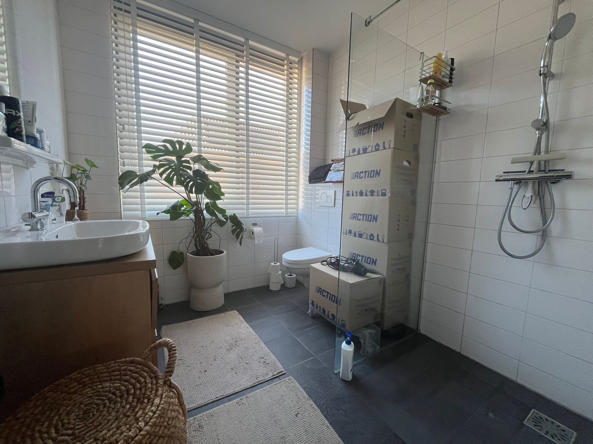 D'aillystraat 13