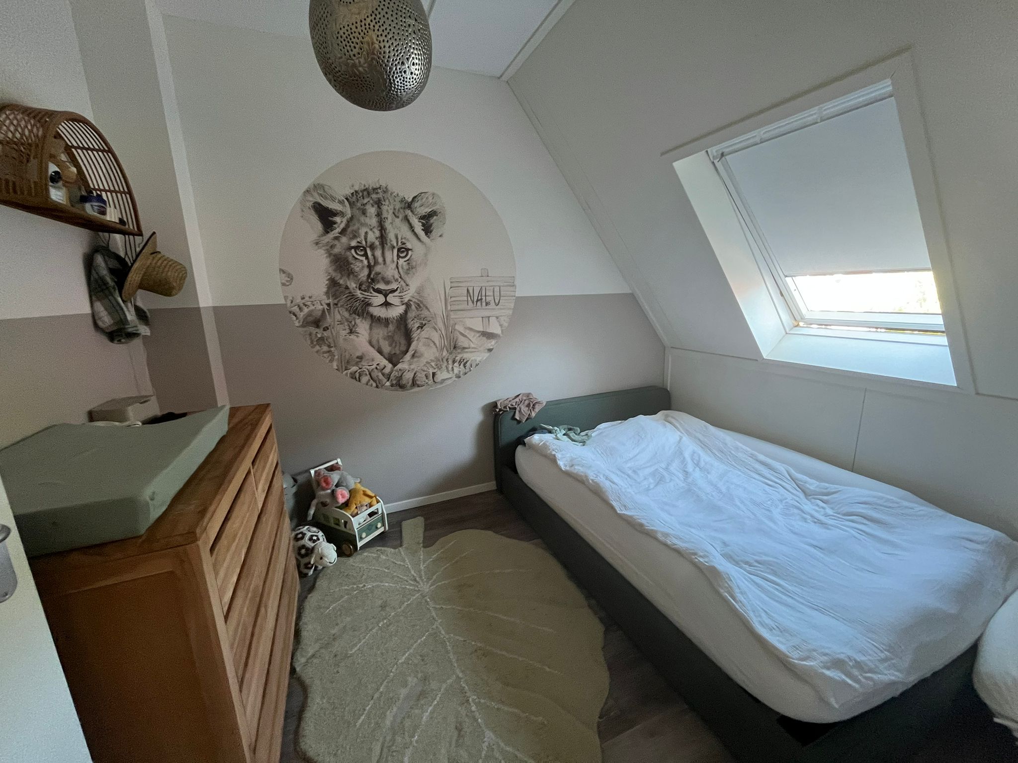 D'aillystraat 13