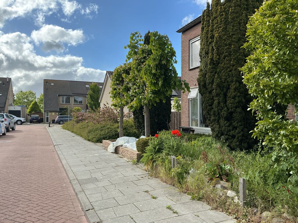 Bernhardstraat 6