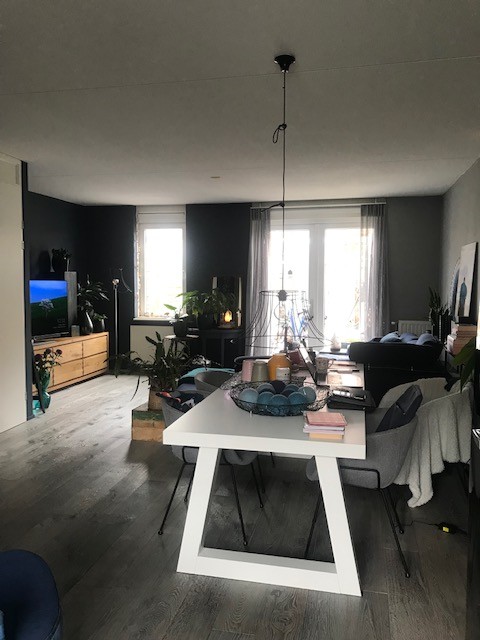 Krullevaar 29