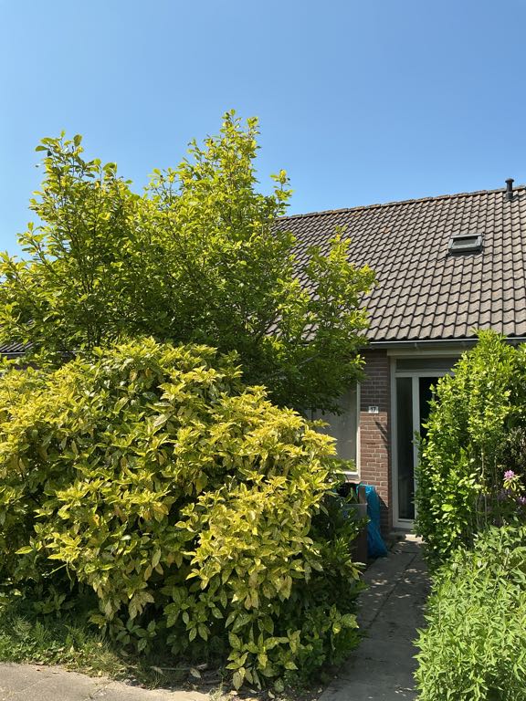 Lijnzaad 17, 4328 CJ Burgh-Haamstede, Nederland