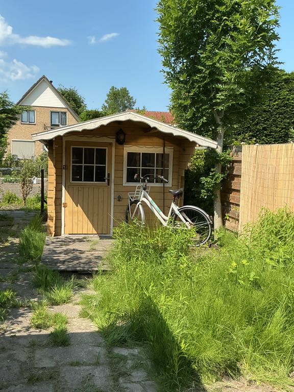 Lijnzaad 17