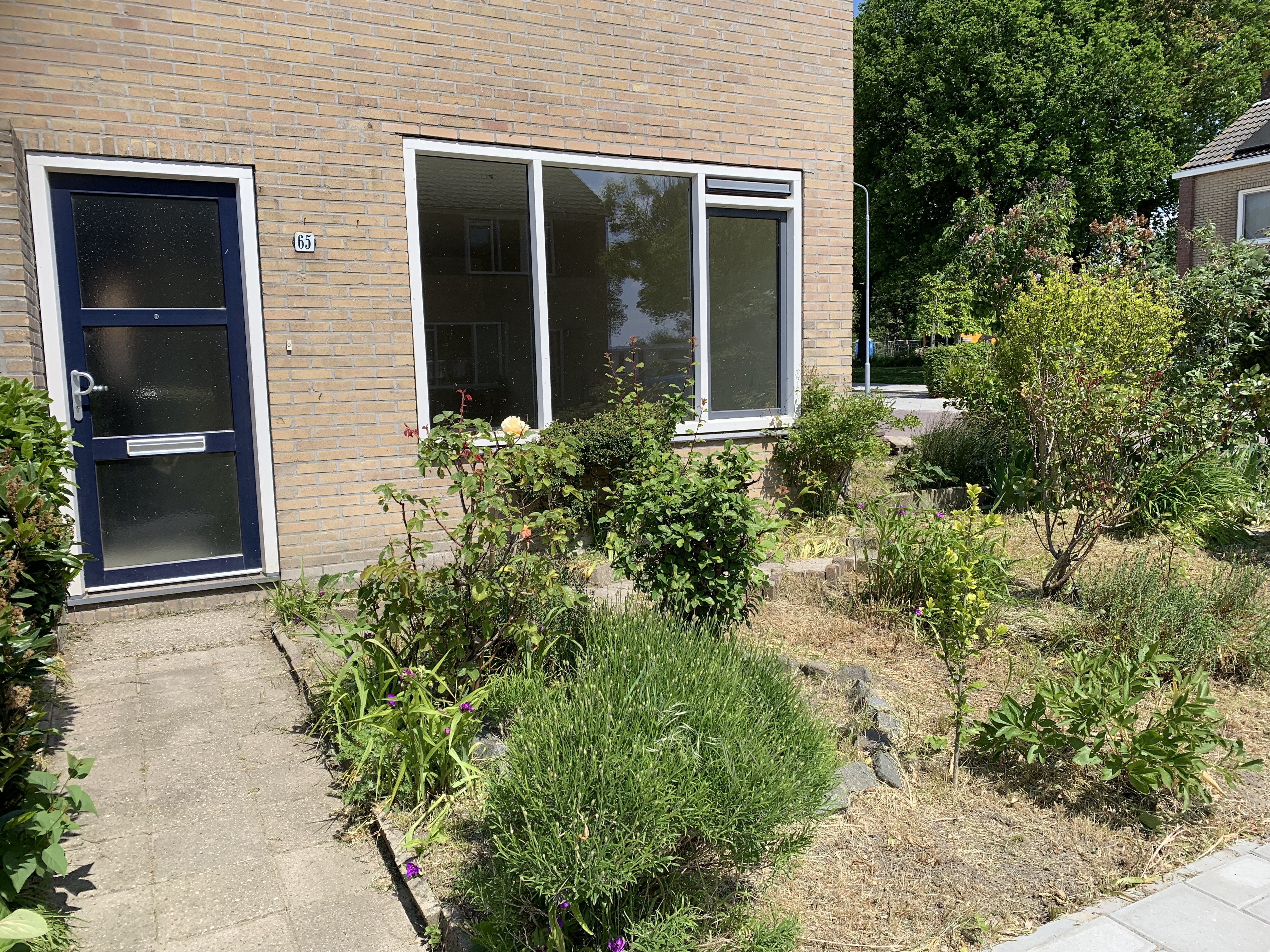 Esdoornstraat 65, 4388 PJ Oost-Souburg, Nederland