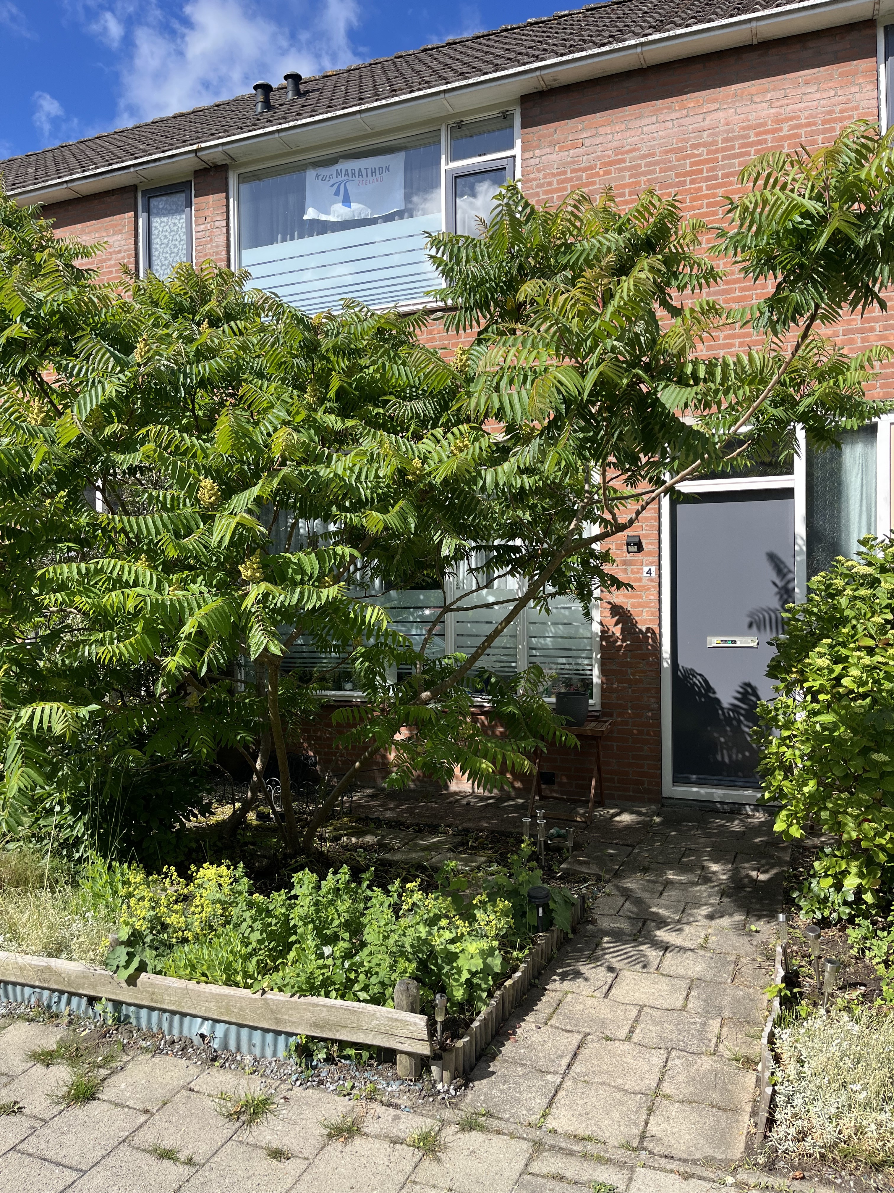 Bisschopstraat 4, 4353 BP Serooskerke, Nederland