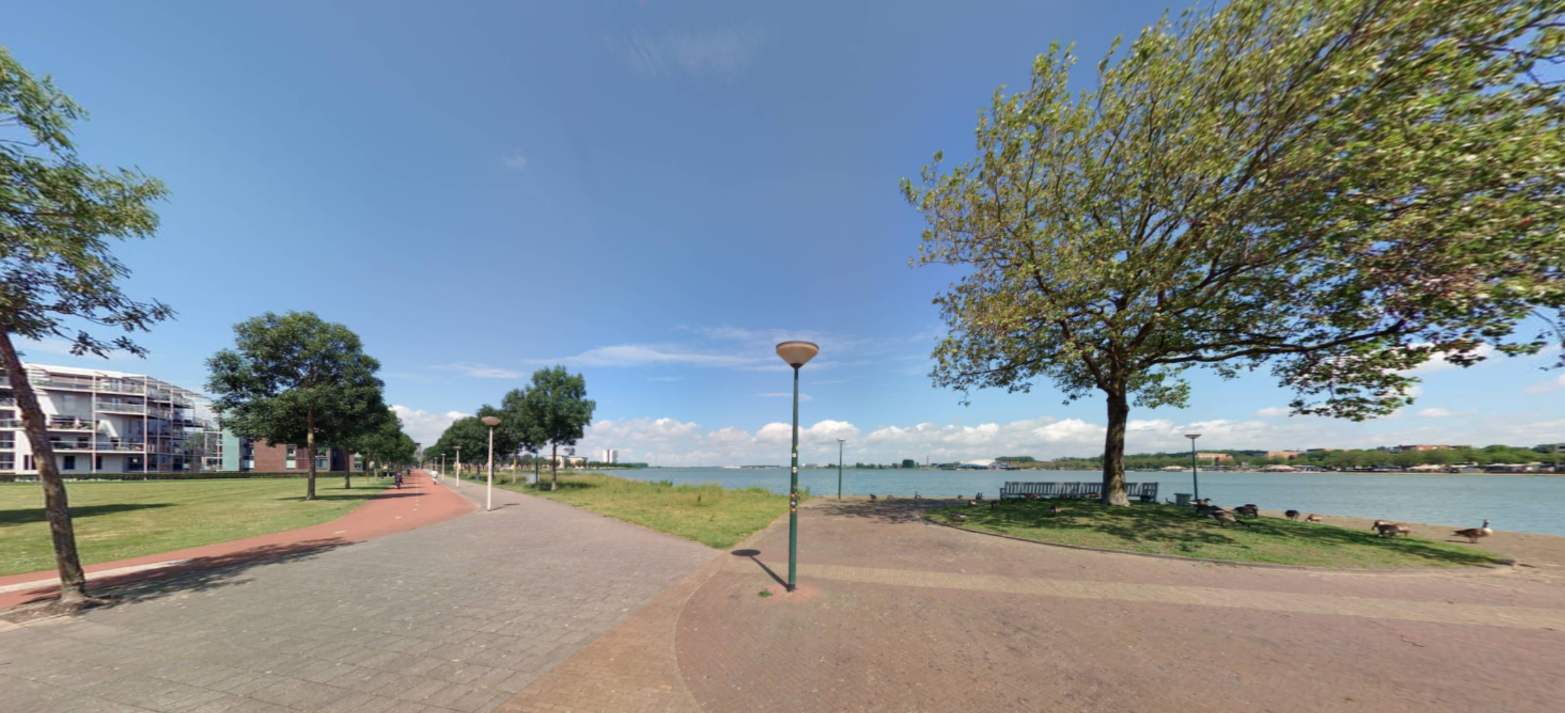 Ansjovislaan 396