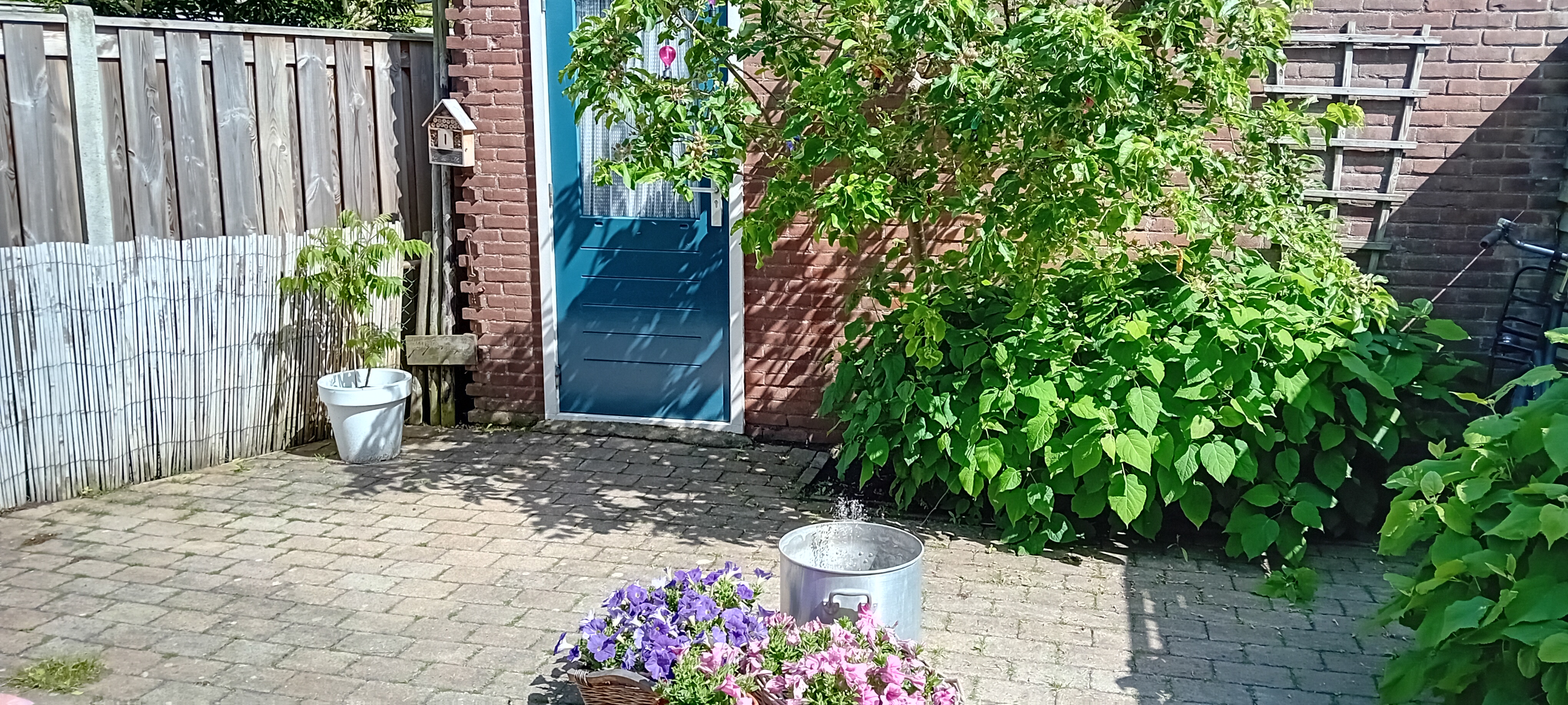 Spreeuwehof 24